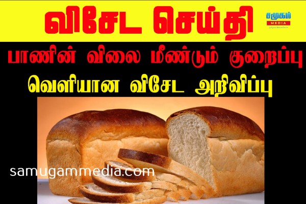 பாணின் விலை நாளை முதல் மீண்டும் குறைப்பு- வெளியான விசேட அறிவிப்பு!samugammedia 